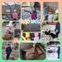 День доброти 
