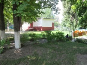 IMG_0339.jpg